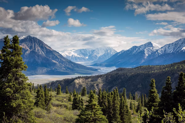 MONTANA WILDERNESS